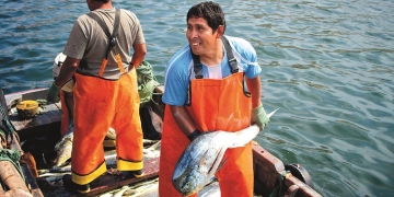 La captura de anchoveta ascendió a 1.2 millones de toneladas.