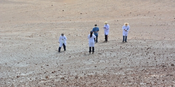 Trabajos durarán hasta mediados de octubre.