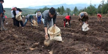 Agricultores en crisis advierten una grave afectación en la producción regional.