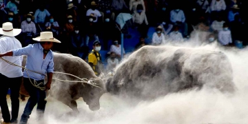 Con fuerza, los astados brindaron grandes peleas ante el aplauso general del público asistente.