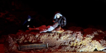 El ambiente acondicionado cumple con los protocolos sanitarios y todo el recorrido toma unos 20 minutos.