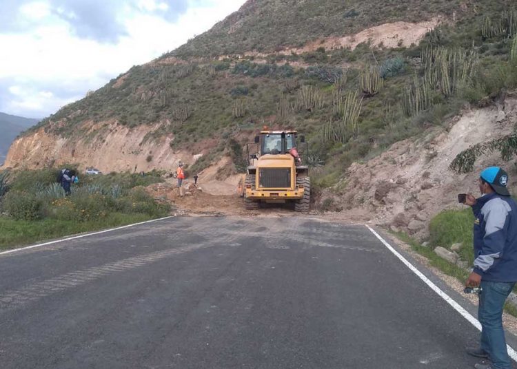 Fotos: Gobierno Regional de Arequipa