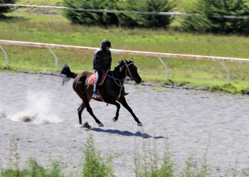 El joven jockey, Adrián Choque, galopa diariamente entre 20 a 25 caballos.