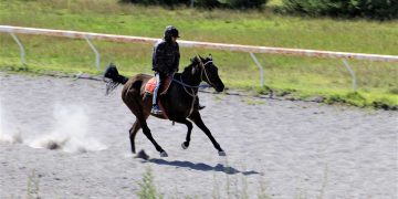 El joven jockey, Adrián Choque, galopa diariamente entre 20 a 25 caballos.