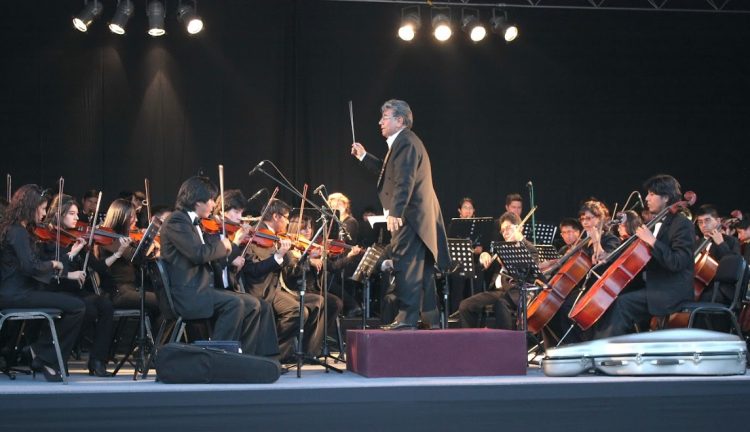 Concierto de Primavera se realizará con la presentación de músicos solistas.