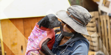 Al llegar un perro nuevo, un veterinario los esteriliza y vacuna.