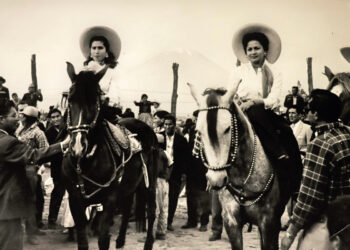 Festival Caballo de paso - Tingo, Arequipa, 1956
