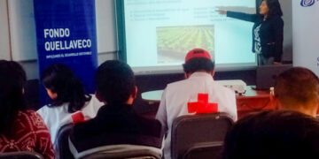 Los proyectos están vinculados a desarrollo económico productivo, salud y nutrición, entre otros.