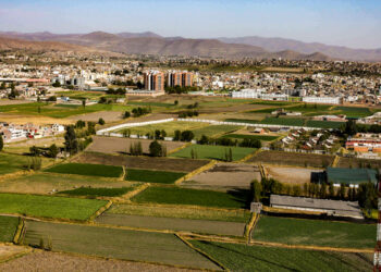 Se debe evaluar si los terrenos judicializados continúan como zonas agrícolas o se convierten en parques o bosques.