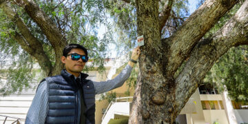 El docente de la Escuela de Ingeniería Ambiental de la Universidad Católica San Pablo, Joel Arias, junto a la ONG Enlazando, realizaron un inventario de los árboles que existen en el campus para protegerlos.