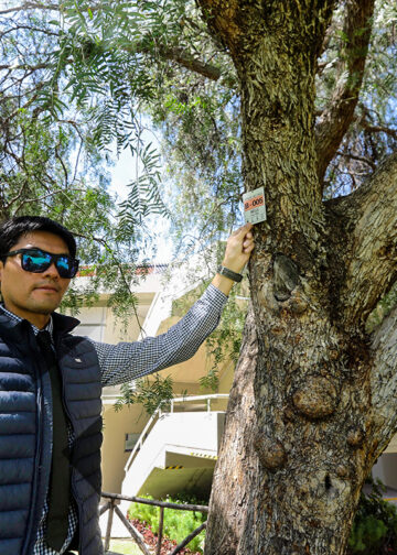 El docente de la Escuela de Ingeniería Ambiental de la Universidad Católica San Pablo, Joel Arias, junto a la ONG Enlazando, realizaron un inventario de los árboles que existen en el campus para protegerlos.