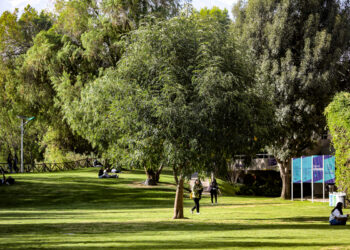 La San Pablo es la primera universidad de Arequipa que cuenta con un inventario de árboles.