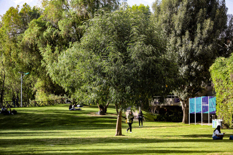 La San Pablo es la primera universidad de Arequipa que cuenta con un inventario de árboles.