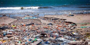 Animales marinos son los más afectados por el desecho de fármacos.