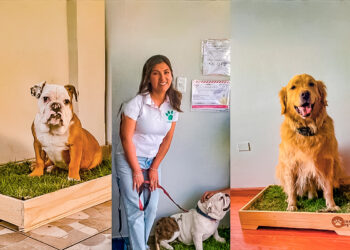 María Laura encontró una solución para facilitar la crianza de mascotas en casa.