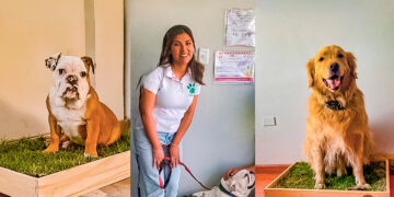 María Laura encontró una solución para facilitar la crianza de mascotas en casa.