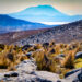 El camino entre Hatuncolla (Puno) y el valle de Arequipa, tiene una extensión de más de 200 km. (Foto: Augusto Cardona Rosas)