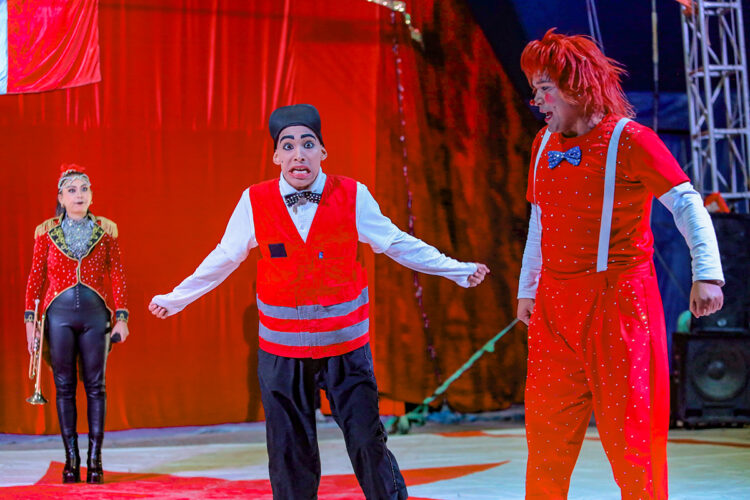El circo Los Rondines ofrece un espectáculo para grandes y chicos desde el año 2018.