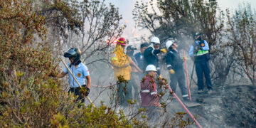 Uno de los últimos incendios forestales ocurrió en el abra de Ccorao. Las brigadas lograron extinguir el fuego.
