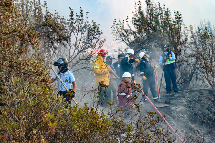 Uno de los últimos incendios forestales ocurrió en el abra de Ccorao. Las brigadas lograron extinguir el fuego.