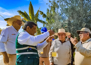 Personal de Senasa enseña a los agricultores a elaborar un cebo tóxico biológico, amigable con el medio ambiente. (Foto: Senasa Tacna)