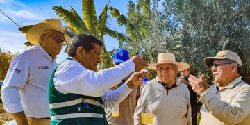 Personal de Senasa enseña a los agricultores a elaborar un cebo tóxico biológico, amigable con el medio ambiente. (Foto: Senasa Tacna)