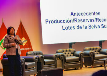 Viceministra de Hidrocarburos, Iris Cárdenas Pino, admitió problemas en licitaciones de plantas de regasificación en el sur.