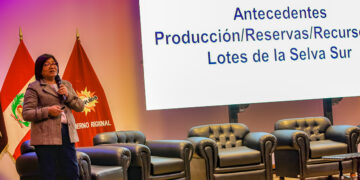 Viceministra de Hidrocarburos, Iris Cárdenas Pino, admitió problemas en licitaciones de plantas de regasificación en el sur.