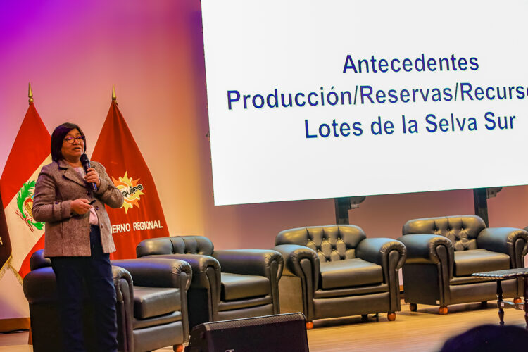 Viceministra de Hidrocarburos, Iris Cárdenas Pino, admitió problemas en licitaciones de plantas de regasificación en el sur.