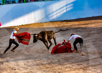 Los amigos de Sangre y Arena de Chumbivilcas, soportaron la ferocidad de la vaquillona, sus ponchos pagaron el atrevimiento.