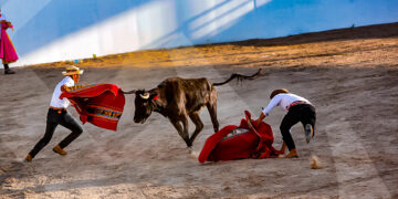 Los amigos de Sangre y Arena de Chumbivilcas, soportaron la ferocidad de la vaquillona, sus ponchos pagaron el atrevimiento.