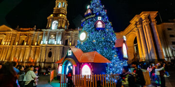 El árbol que más destaca es el que se encuentra frente a la catedral, gracias a su iluminación y temática navideña.
