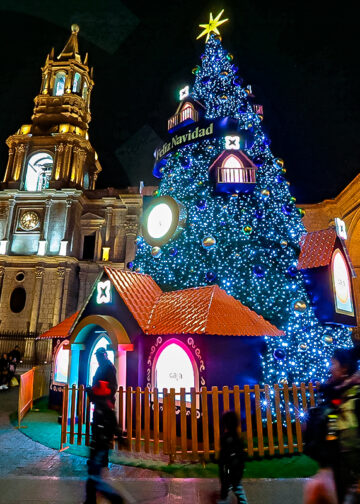 El árbol que más destaca es el que se encuentra frente a la catedral, gracias a su iluminación y temática navideña.
