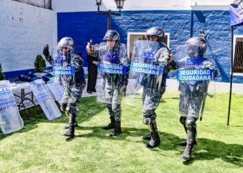 La falta de reglamentación y capacitación pone bajo la lupa el uso de las pistolas eléctricas por parte de los serenos.