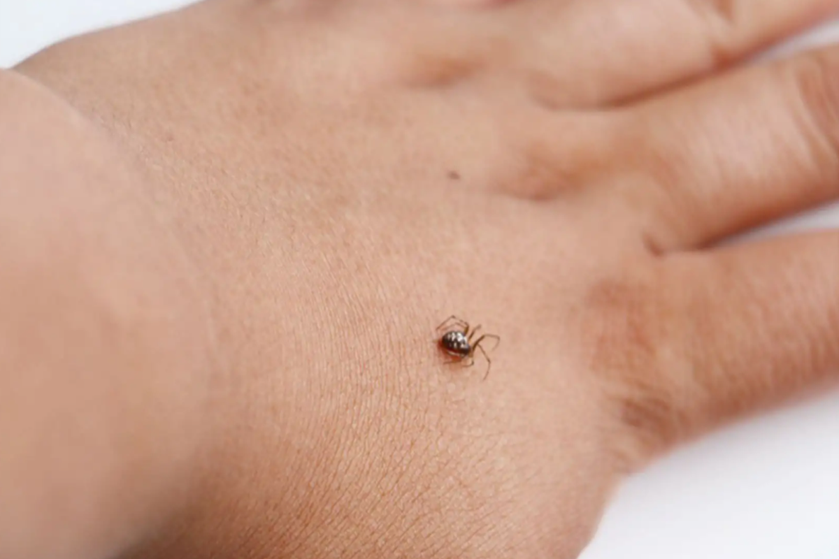 La ausencia de síntomas iniciales no descarta una complicación. Foto: Andina